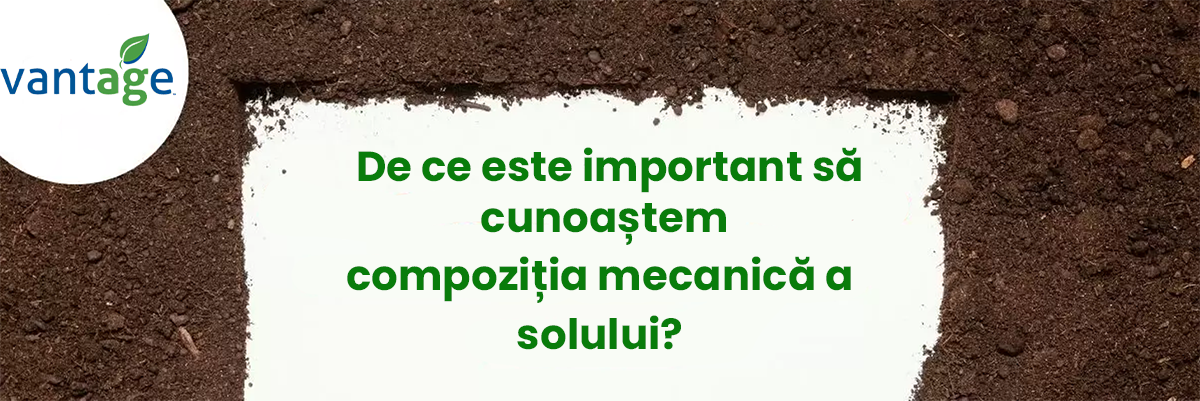 Componentele Solului Importanța cunoașterii compoziției mecanice a solului | Nik-ro.com